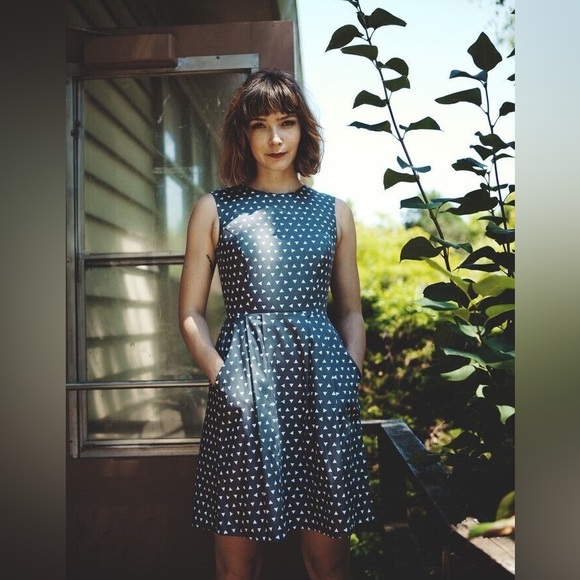 Birds of North America Dresses & Skirts - Birds of North America Antbird Grey Triangles dress in size 6